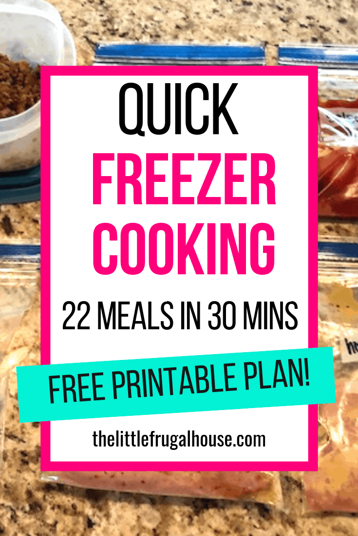 Quick Freezer Cooking Plan - 22 Meals in 30 Minutes