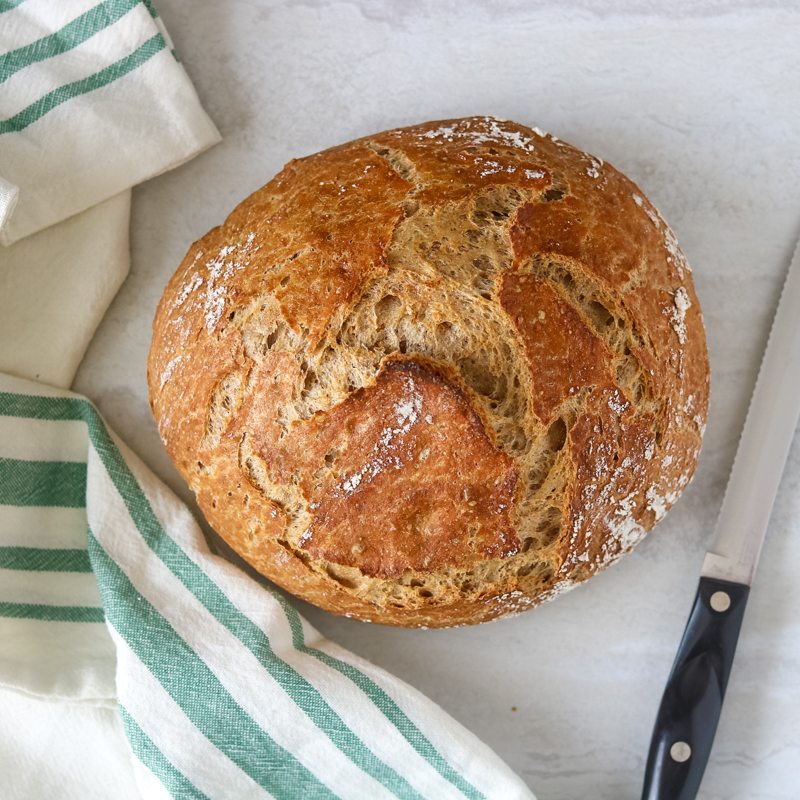 easy-homemade-whole-wheat-dutch-oven-bread - The Little Frugal House