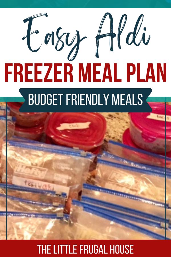 The Ultimate Aldi Freezer Cooking Plan - 80 Meals in 2 Hours
